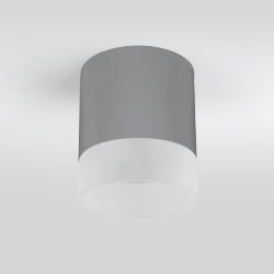 Уличный потолочный светильник Light LED 2107 IP54 35140/H серый (057161)