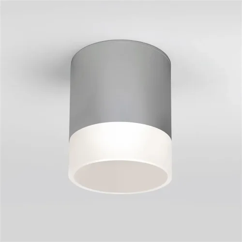 Уличный потолочный светильник Light LED 2107 IP54 35140/H серый - фото