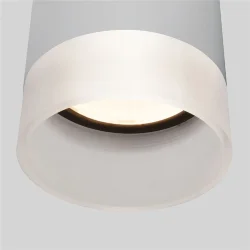 Уличный потолочный светильник Light LED 2107 IP54 35140/H серый (057161)