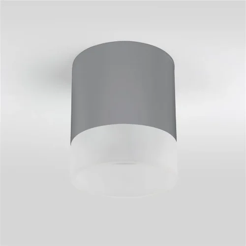 Уличный потолочный светильник Light LED 2107 IP54 35140/H серый - фото 4
