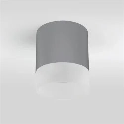 Уличный потолочный светильник Light LED 2107 IP54 35140/H серый (057161)