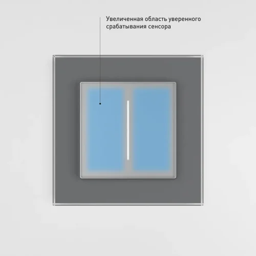 Умный сенсорный диммер серебряный W3443106 - фото 5