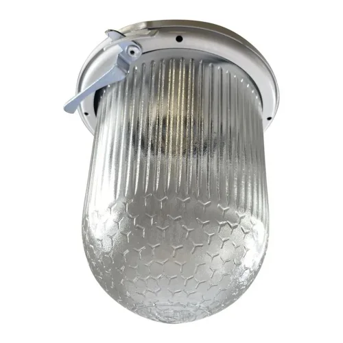 Светильник НСП 02-100-001 'Желудь А' IP52 Элетех 1005550305 - фото 2