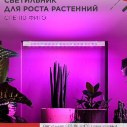 Светильник светодиодный СПБ-110 STD-ФИТО красно-синий спектр 55Вт 1200мм IP40 IN HOME