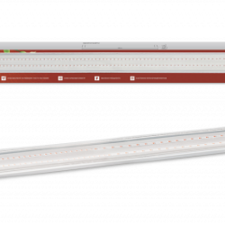 Светильник светодиодный СПБ-110 STD-ФИТО красно-синий спектр 55Вт 1200мм IP40 IN HOME