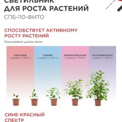 Светильник светодиодный СПБ-110 STD-ФИТО красно-синий спектр 55Вт 1200мм IP40 IN HOME