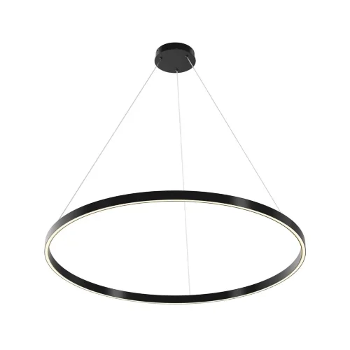 Подвесной светильник Rim 3000-4000К 60Вт (Черный) - фото