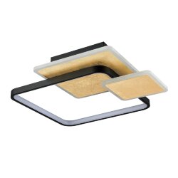 Потолочный светильник «LUMION» 6574/72CL, серия: GOLDY (крепление на планке) - -