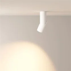 Потолочный светильник Dafne 3000K 1x10Вт 38° (Белый)