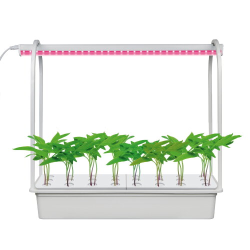 ULT-P44B-10W-SPSB IP40 AQUA SIMPLE WHITE Набор для гидропоники Минисад AQUA SIMPLE, светильник для растений светодиодный с подставкой, Спектр для рассады и цветения, Белый, TM Uniel - фото 1