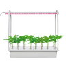 ULT-P44B-10W-SPSB IP40 AQUA SIMPLE WHITE Набор для гидропоники Минисад AQUA SIMPLE, светильник для растений светодиодный с подставкой, Спектр для рассады и цветения, Белый, TM Uniel - фото 1