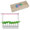 ULT-P44B-10W-SPSB IP40 AQUA SIMPLE WHITE Набор для гидропоники Минисад AQUA SIMPLE, светильник для растений светодиодный с подставкой, Спектр для рассады и цветения, Белый, TM Uniel - фото 8