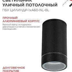 Светильник уличный потолочный ПБУ ЦИЛИНДР-1xА60-NL-BL с подсветкой черный IP54 IN HOME
