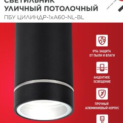 Светильник уличный потолочный ПБУ ЦИЛИНДР-1xА60-NL-BL с подсветкой черный IP54 IN HOME