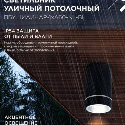 Светильник уличный потолочный ПБУ ЦИЛИНДР-1xА60-NL-BL с подсветкой черный IP54 IN HOME