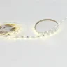 Светодиодная лента Standart PRO class, 3528, 60led/m, Day White, 12V, IP20, B102 - фото I