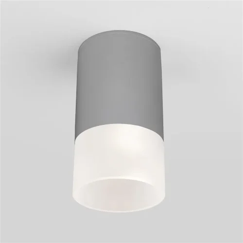 Уличный потолочный светильник Light LED 2106 IP54 35139/H серый - фото