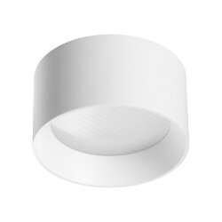 Потолочный светильник «ODEON LIGHT» 6622/10CL, серия: OBEN (крепление на планке)