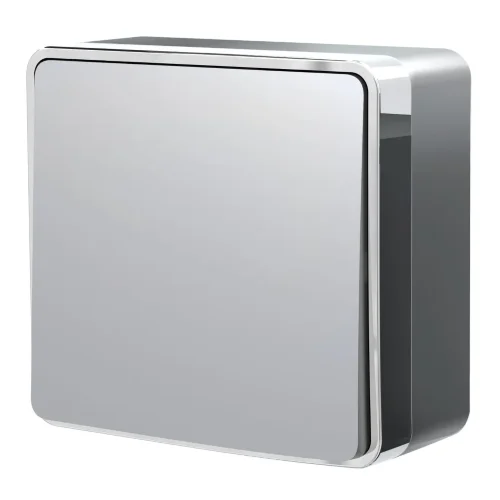 Выключатель одноклавишный Gallant серебряный W5010006 - фото