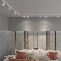 Светильник трехфазный трековый светодиодный с переключателем цветовой температуры «Novotech» 358976, серия: GIRO - Переключение цв. температуры на корпусе светильника