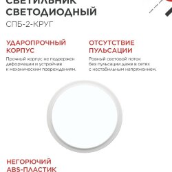 Светильник светодиодный СПБ-2-КРУГ 14Вт 230В 6500К 1100Лм 210мм белый IN HOME