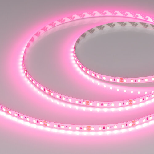 Светодиодная лента RT-A120-8mm 24V Pink (9.6 W/m, IP20, 2835, 5m) (Arlight) 043380 - фото