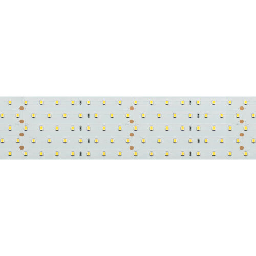 Светодиодная лента RT 2-2500 24V Day4000 5x2 (2835, 875 LED, LUX) (Arlight, 36 Вт/м, IP20) 019081(B) - фото 2
