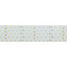 Светодиодная лента RT 2-2500 24V Day4000 5x2 (2835, 875 LED, LUX) (Arlight, 36 Вт/м, IP20) 019081(B) - фото 2