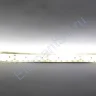 Светодиодная лента Standart PRO class, 3528, 240 led/m, Warm White, 24V, IP65 - фото 3.