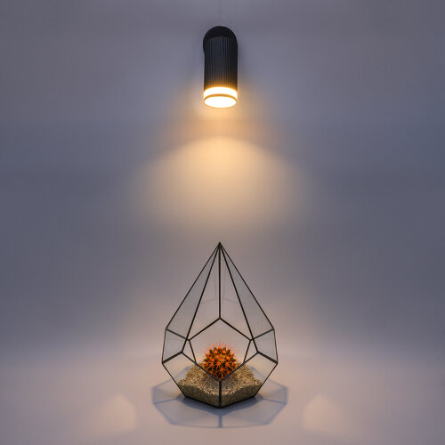 Светильник WOLTA WSL-GU10/04BL под лампу GU10 Черный CORALLO - фото 2.