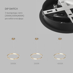 Светильник подвесной RAYDIA, 40 Вт, 3000–4000К, ?600?1500 мм, металл+акрил, матовое золото, свет вве, Denkirs DK6272-SG