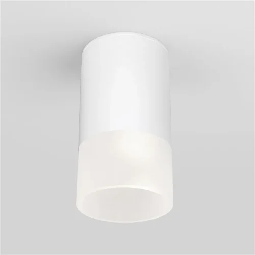Уличный потолочный светильник Light LED 2106 IP54 35139/H белый - фото