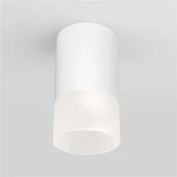 Уличный потолочный светильник Light LED 2106 IP54 35139/H белый (057157)