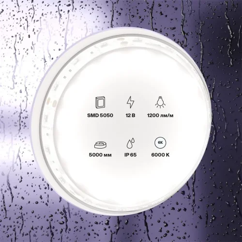 Светодиодная лента 12В 5050 14,4Вт/м 6000K 5м IP65 (Белый) - фото 5