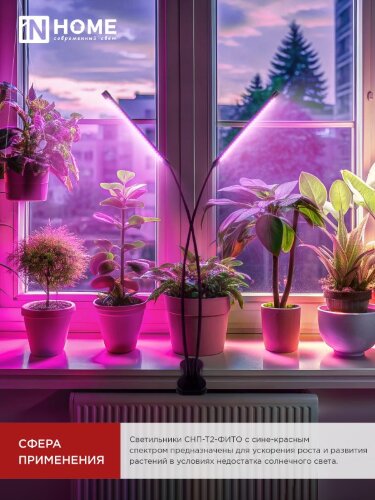 Светильник настольный на прищепке светодиодный СНП-Т2-ФИТО 2П20 красно-синий 20Вт 2 плафона, пульт на шнуре IN HOME - Фото 2