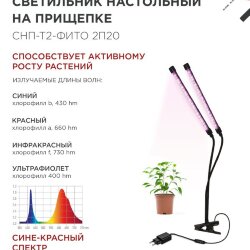 Светильник настольный на прищепке светодиодный СНП-Т2-ФИТО 2П20 красно-синий 20Вт 2 плафона, пульт на шнуре IN HOME