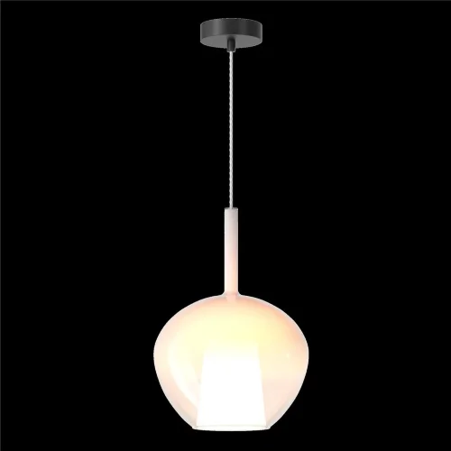 Подвесной светильник Duality E27х1 (Черный) - фото 3