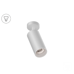 Накладной светильник Trunk On (RAL9003/D55 — GU10)