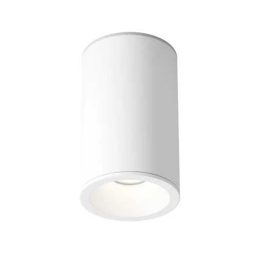 Потолочный светильник Зум / Zoom 1*GU10 10 Вт IP 54 (Белый) C029CL-01-S-W - фото