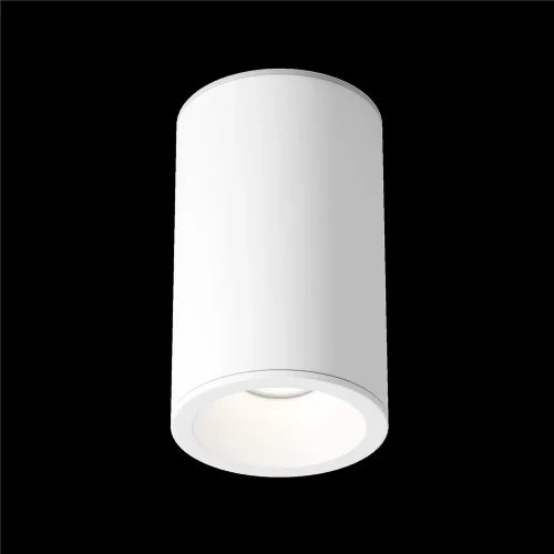 Потолочный светильник Зум / Zoom 1*GU10 10 Вт IP 54 (Белый) C029CL-01-S-W - фото 3