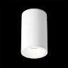 Потолочный светильник Зум / Zoom 1*GU10 10 Вт IP 54 (Белый) C029CL-01-S-W - фото 3