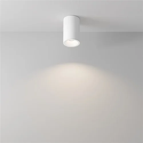 Потолочный светильник Зум / Zoom 1*GU10 10 Вт IP 54 (Белый) C029CL-01-S-W - фото 10