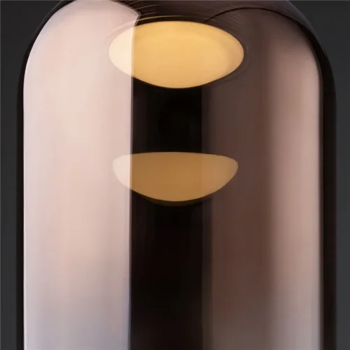 Подвесной светильник Freya FR6134PL-L4C (Черный) - фото 2