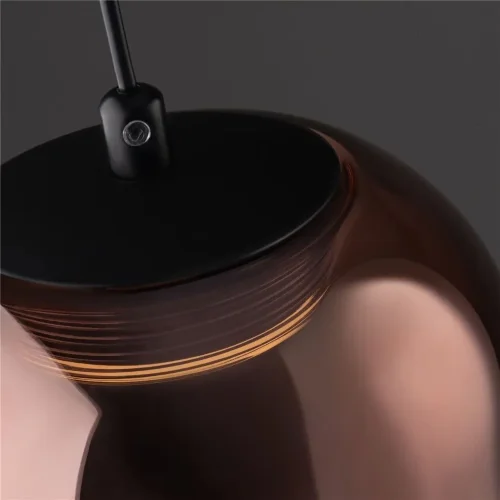 Подвесной светильник Freya FR6134PL-L4C (Черный) - фото 4