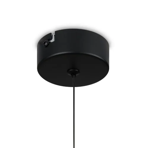 Подвесной светильник Freya FR6134PL-L4C (Черный) - фото 6