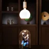 Лампа светодиодная филаментная 7W/2700K (=60W) E27 | GLOBE 125 | LED Star FILAMENT | - OSRAM. Фото 6