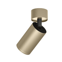 Светильник накладной IP 20, 15 Вт, GU10, матовое золото, алюминий, Denkirs DK2029-GG