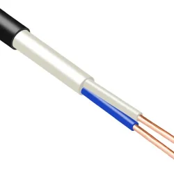 Кабель ВВГнг(А)-FRLS 2х1.5 ОК (N) 0.66кВ (м) ПромЭл 13475770