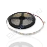 Светодиодная лента Standart PRO class, 3528, 60 led/m, Blue, 12V, IP20 - фото.
