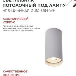 Светильник потолочный НПБ-ЦИЛИНДР-GU10 SBM-WH под GU10 55х100мм белый IN HOME